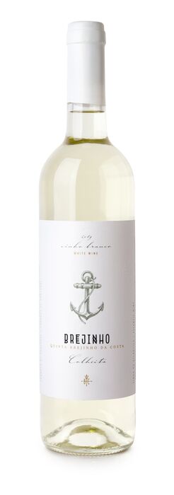 Vinho Colheita - Quinta Brejinho da Costa - Branco 375 mL