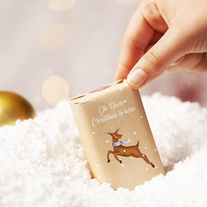 Pack Natal Floresta Encantada