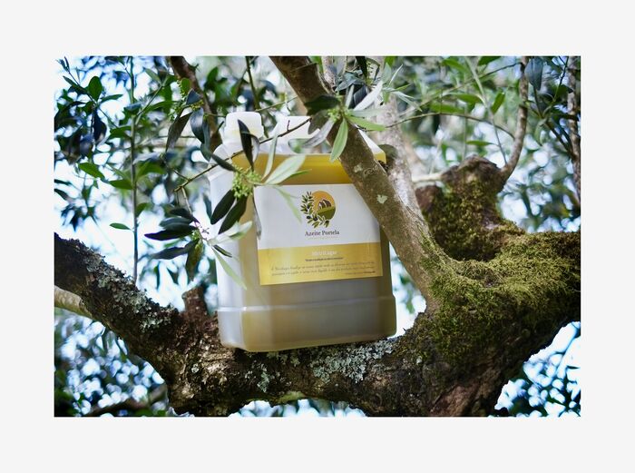 Azeite Virgem Extra - Azeite Portela 5L