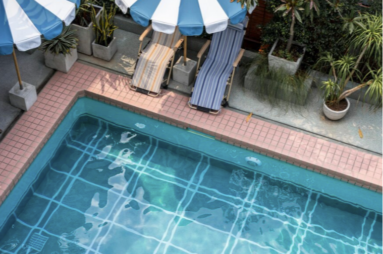 website image