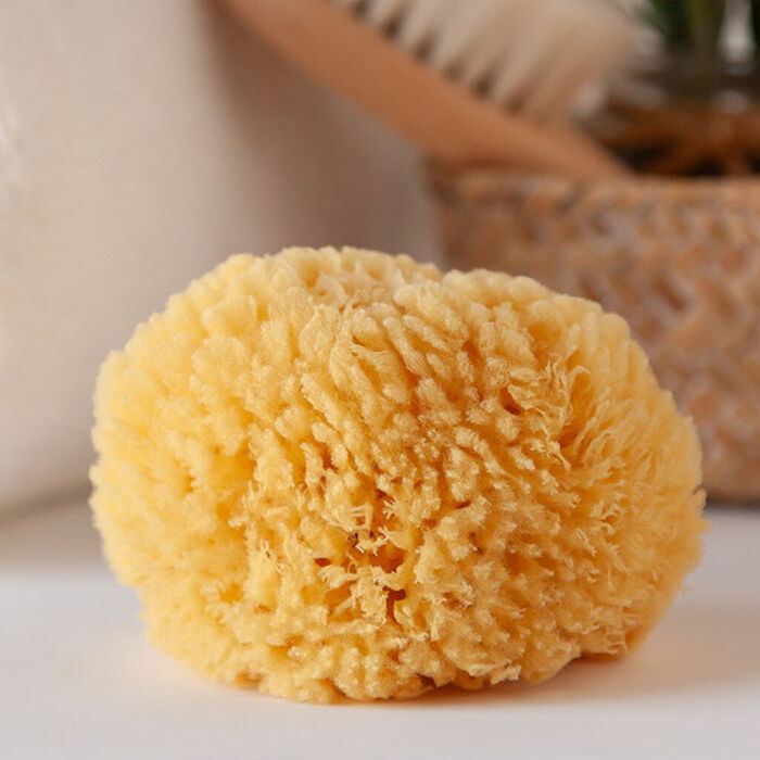 Esponja natural para Bebé