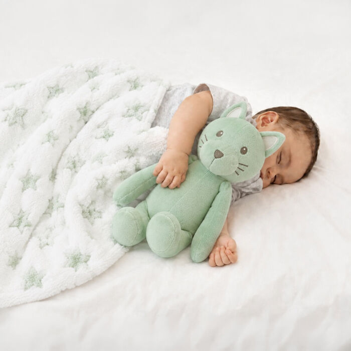 Conjunto Manta de estrelas e gatinho de peluche - Verde