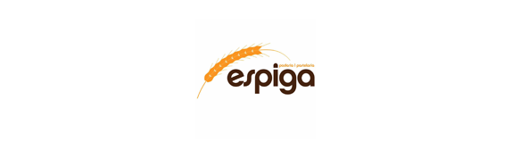 website image