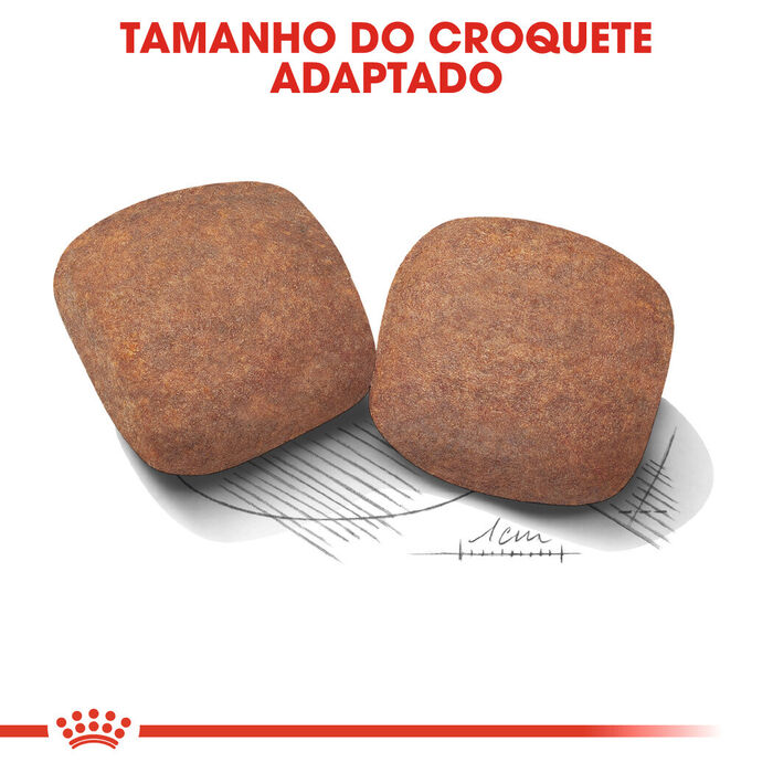 Royal Canin Giant Adult 15 Kg