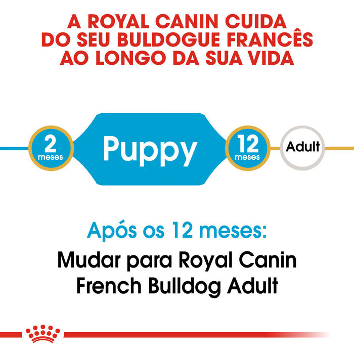 Royal Canin French Bulldog Puppy 10 Kg