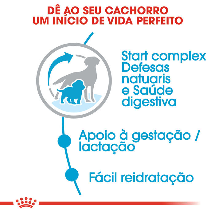 Royal Canin Medium Starter 4 Kg