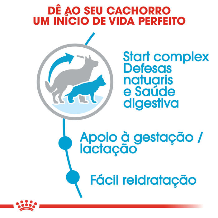 Royal Canin Maxi Starter 4 Kg