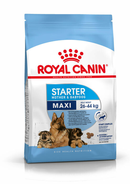 Royal Canin Maxi Starter 15 Kg