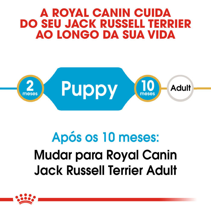 Royal Canin Jack Russell Terrier Puppy 3 Kg