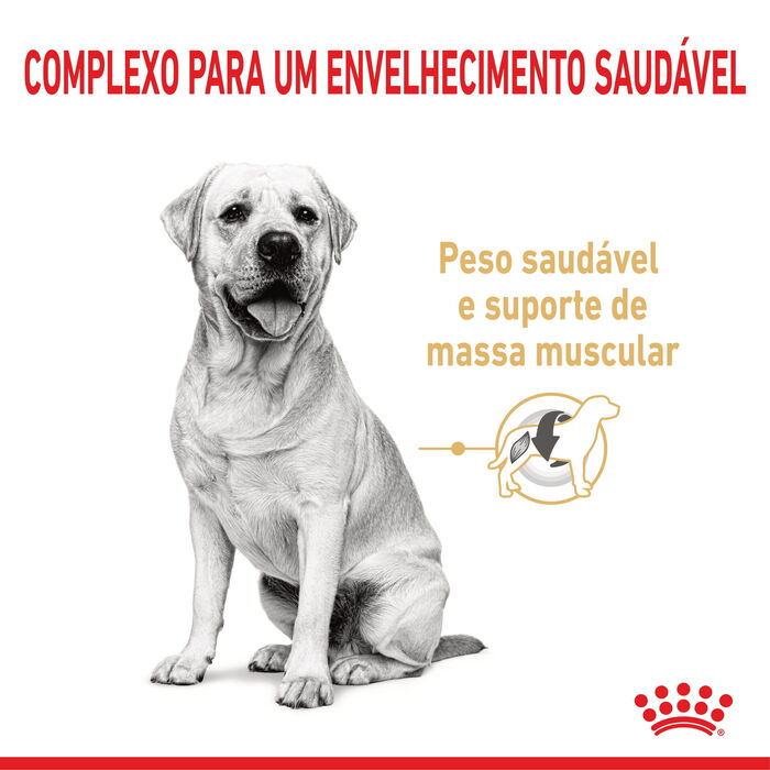 Royal Canin Labrador Retriever Adult 5+ 12 Kg