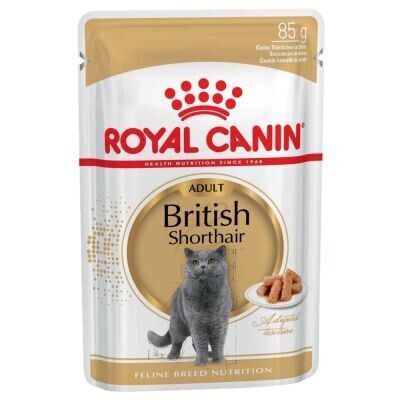 Royal Canin British Shorthair 12 X 85 Gr