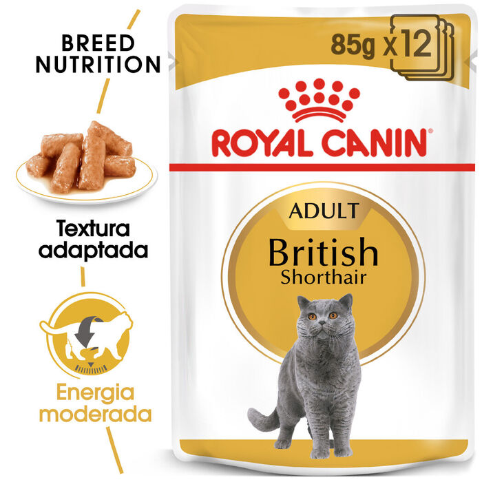 Royal Canin British Shorthair 12 X 85 Gr
