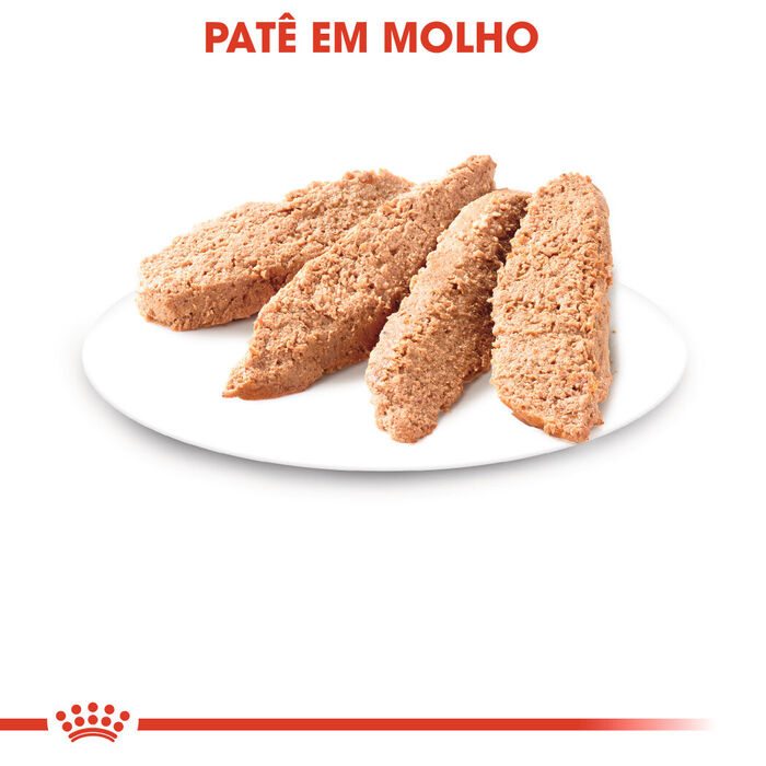 Royal Canin Kitten (Patê) 12 X 85 Gr