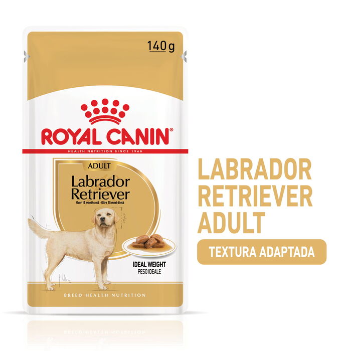 Royal Canin Labrador Adult 10 X 140 Gr