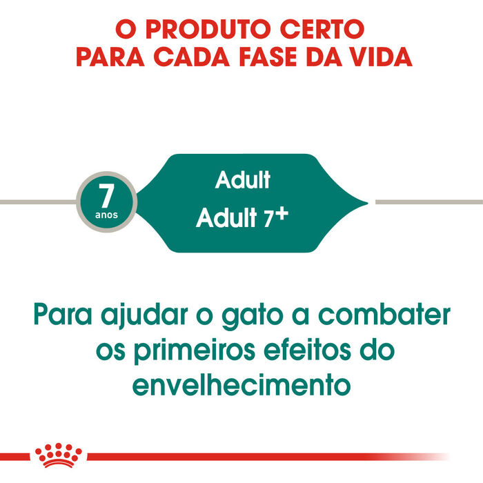 Royal Canin Instinctive +7 (Molho) 12 X 85 Gr