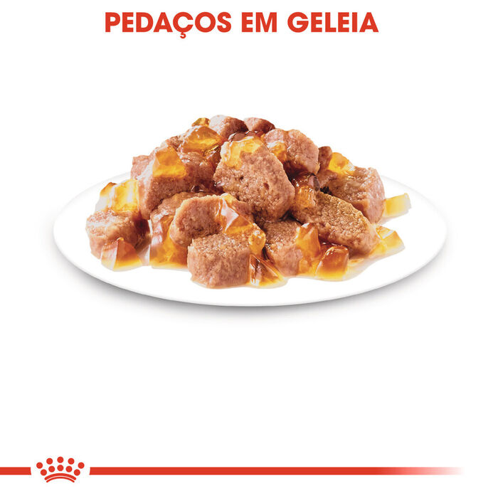 Royal Canin Ultra Light (Geleia) 12 X 85 Gr