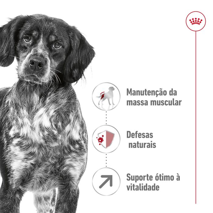Royal Canin Medium Adult 7+ 4 Kg