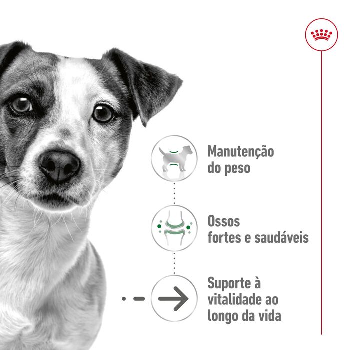 Royal Canin Mini Ageing 12+ 3.5 Kg