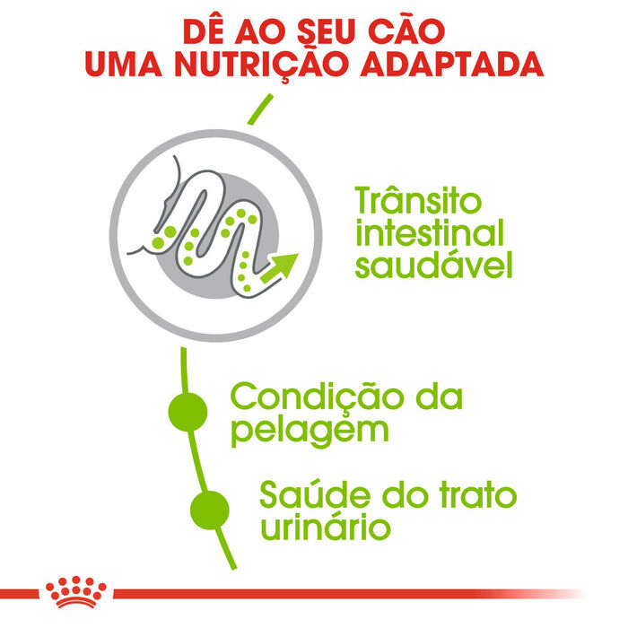 Royal Canin X-Small Adult 1.5 Kg