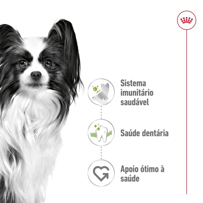Royal Canin X-Small Adult 3 Kg