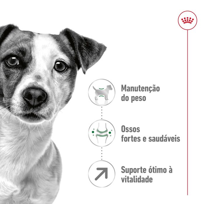 Royal Canin Mini Adult 8+ 4 Kg