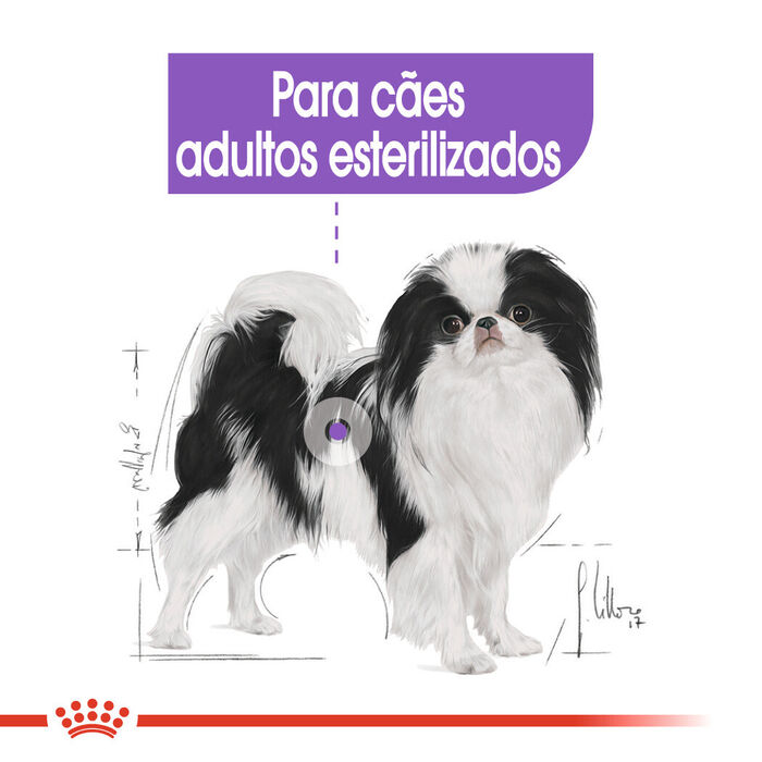 Royal Canin X-Small Sterilised 1.5 Kg