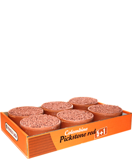 Colombine Pickstone Red "Tray 5 + 1" 3.6 Kg
