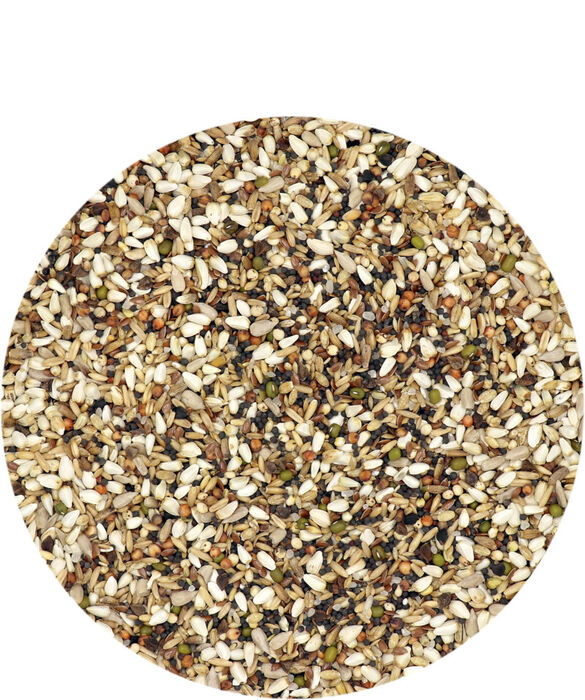 Colombine Sneaky Mixture 20 Kg