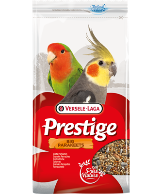 Prestige Big Parakeet 1 Kg