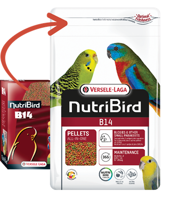 NutriBird B14 800 g