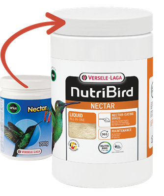 Nectar 700 g