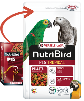 NutriBird P15 Tropical 1 kg