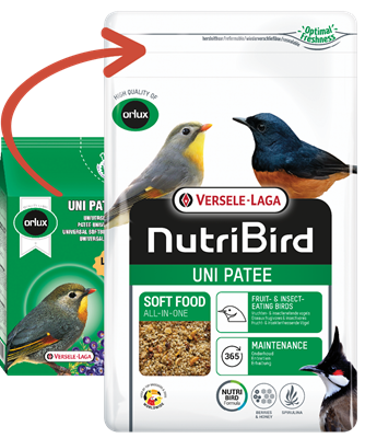Uni Patee 1 kg