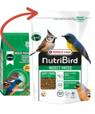 Insect Patee 250 g