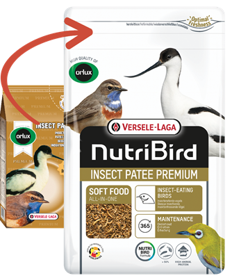 Insect Patee Premium 500 g