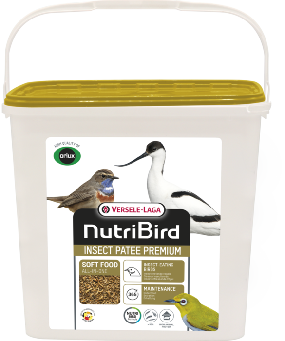 Insect Patee Premium 2 kg