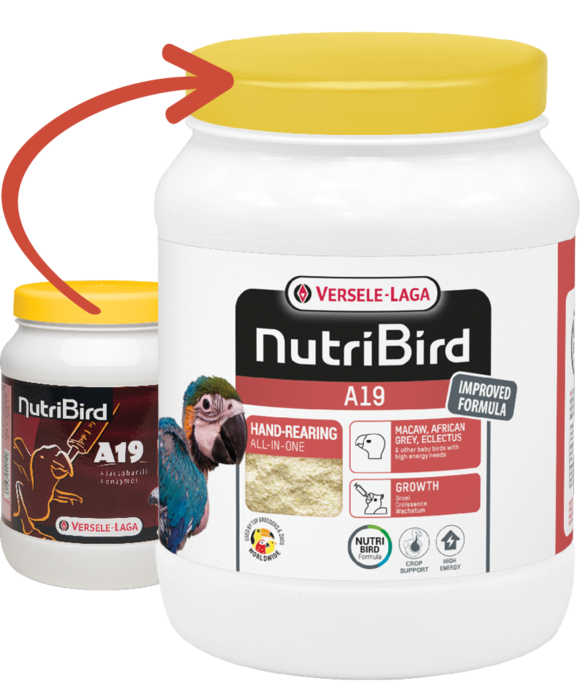 NutriBird A19 800 g