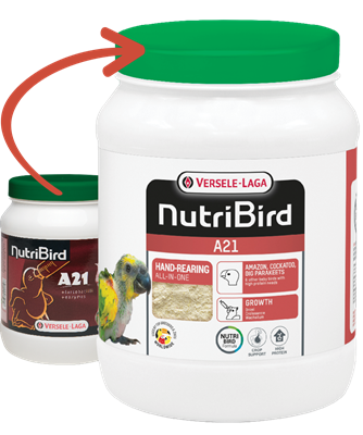 NutriBird A21 800 g