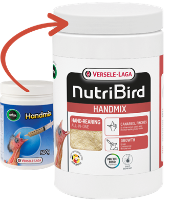 Handmix 500 g