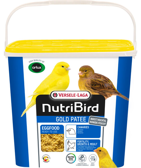 Gold Patee Canarios 5 kg