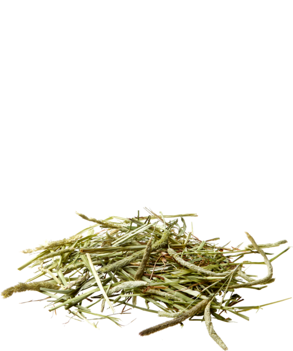 Nature Timothy Hay 1 Kg