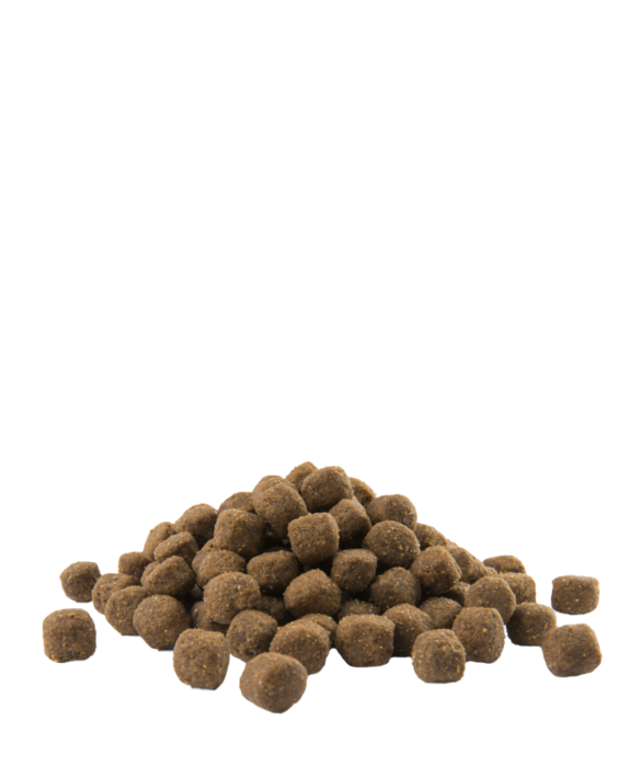 Opti Life Adult Medium 12.5 Kg