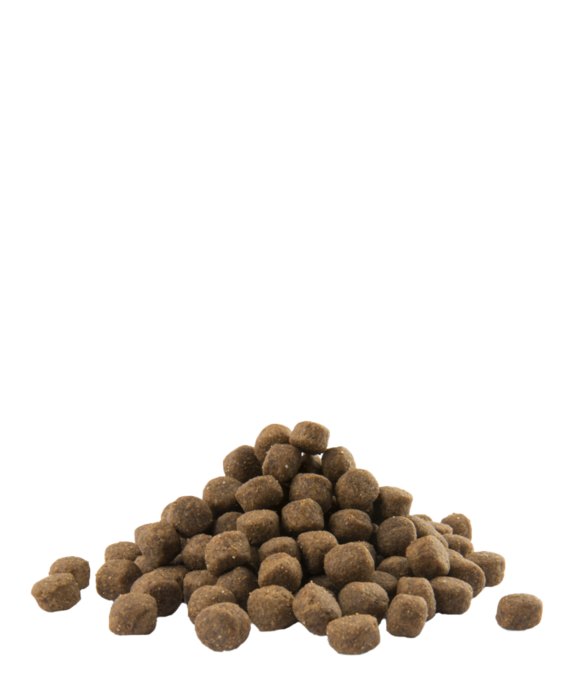 Opti Life Puppy Maxi 12.5 Kg