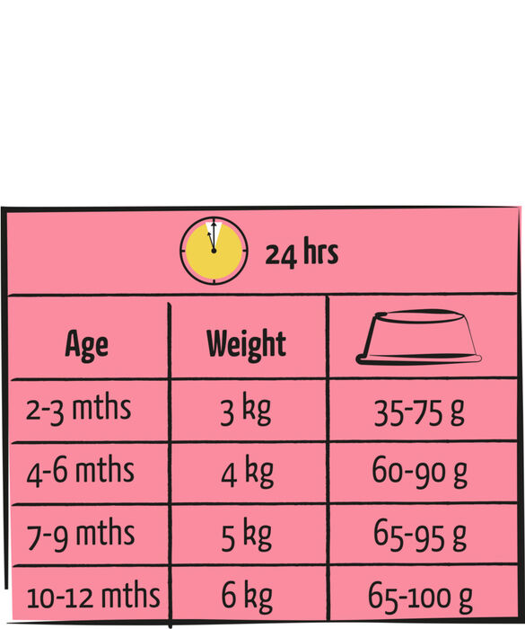 Lara Junior Chicken 1,9 Kg