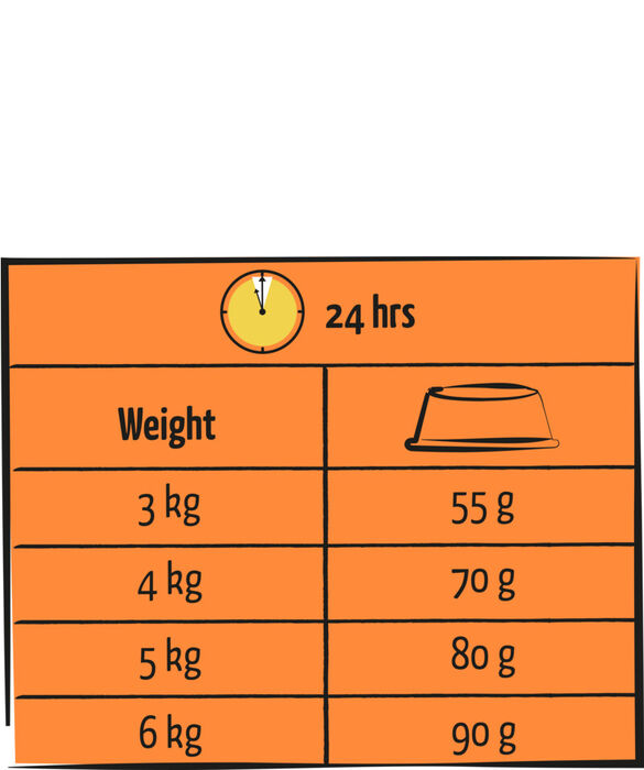 Lara Adult Turkey-Chicken 12,5 Kg
