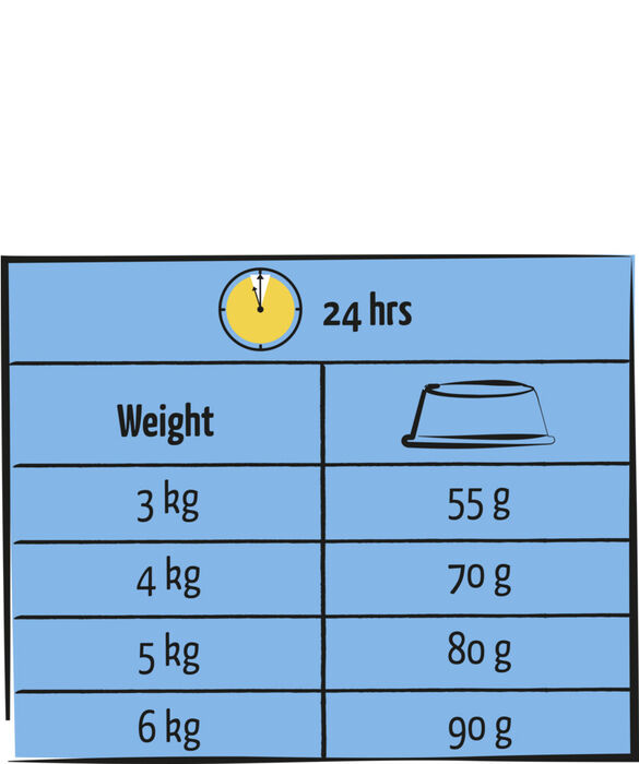 Lara Adult Salmon 950 G