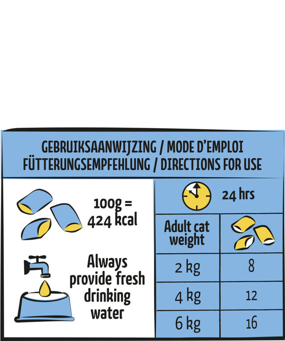 Lara Pillows C/ Salmon Happy Fur Treats 60 G