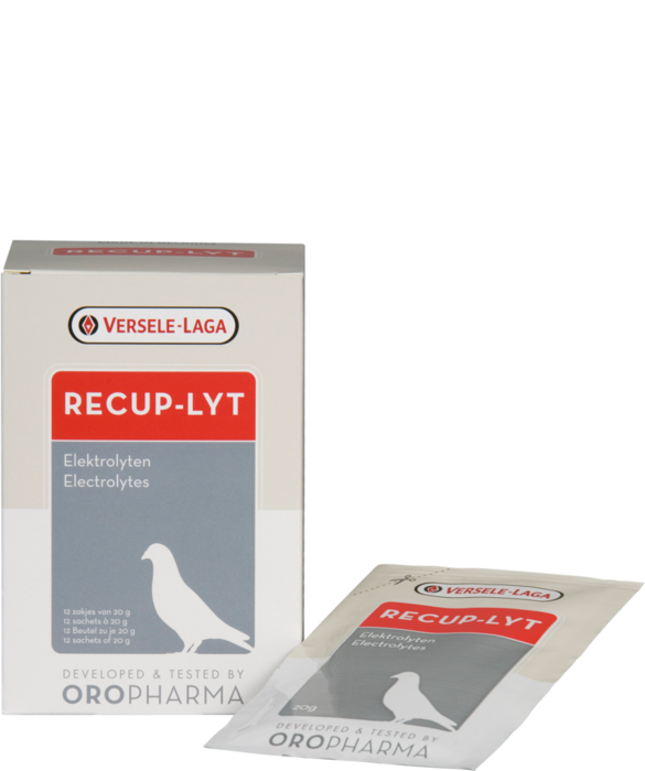Oropharma Recup-Lyt 240 G