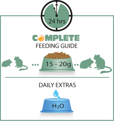 Hamster & Gerbil Complete 500 G