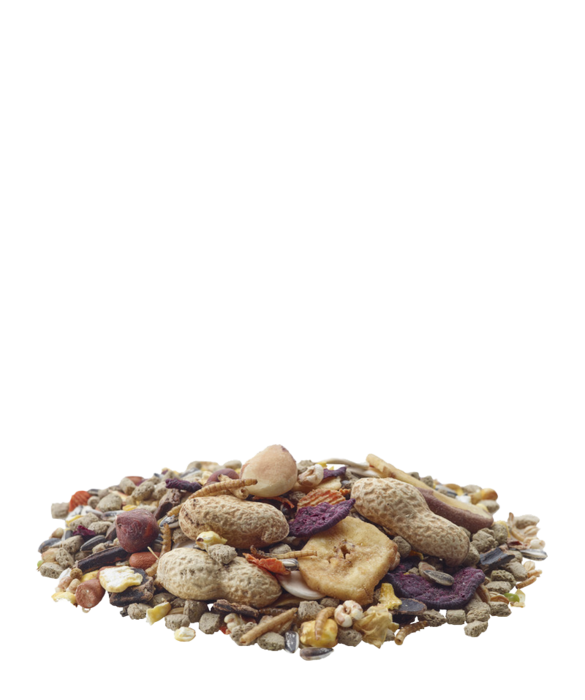 Nature Chip 700 G